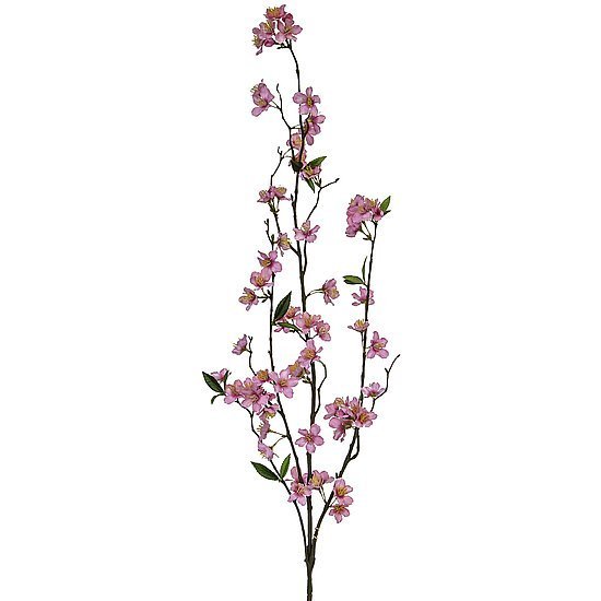 Kirschbl.Zweig rosa 118cm schw.Entfl.