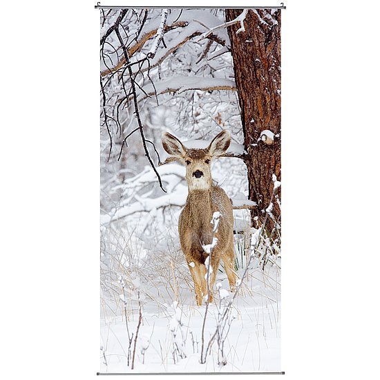 Banner Winter Reh 100x200cm