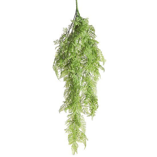 Pflanzenh.Davallia Farn 88cm