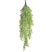 Pflanzenh.Zierspargel 84cm hellgr
