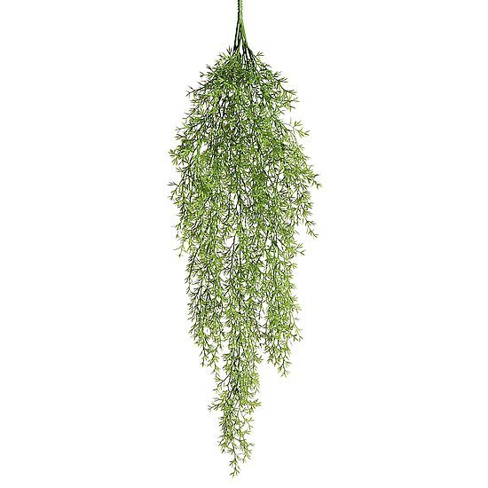 Pflanzenh.Zierspargel 84cm gr