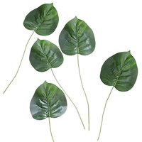 Philoblatt 5er Set 60 cm