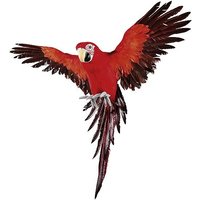 Papagei rot 62x72x62 cm