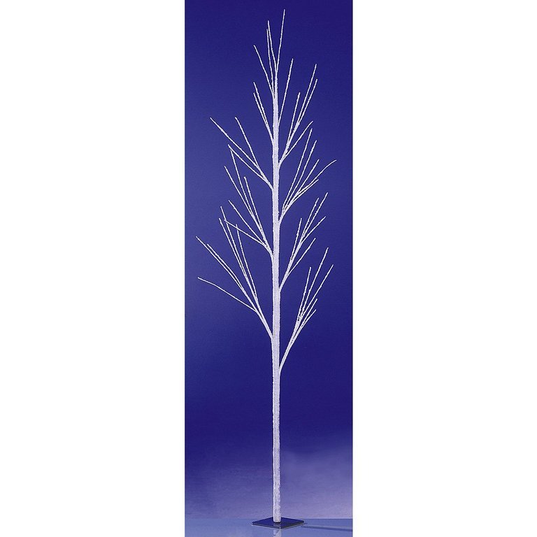Winter twig