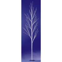 Winter twig