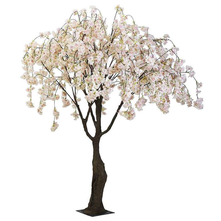 Kersenbloesem-Boom 150cm
