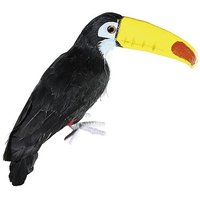 Tukan zwart