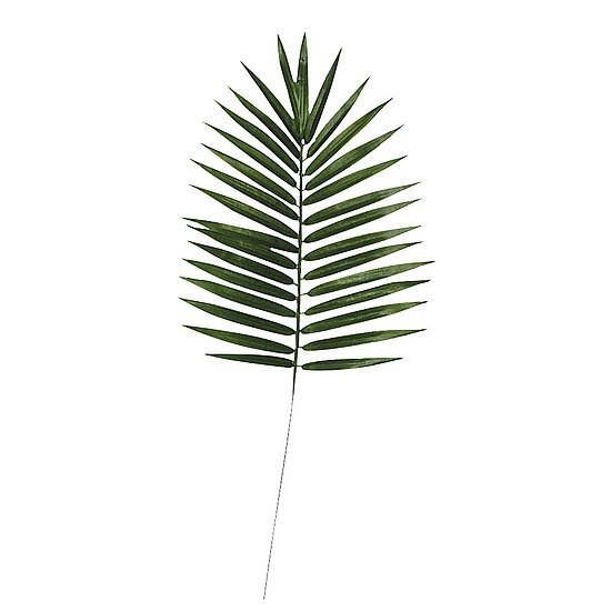 Areca Palmenblad-Set