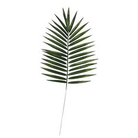 Areca Palmenblad-Set