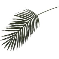 Phoenix Palmenblatt 100cm