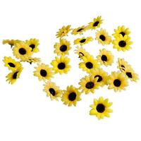 Sonnenblumen-Streubl. 24St