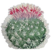 Kaktus met Bloem