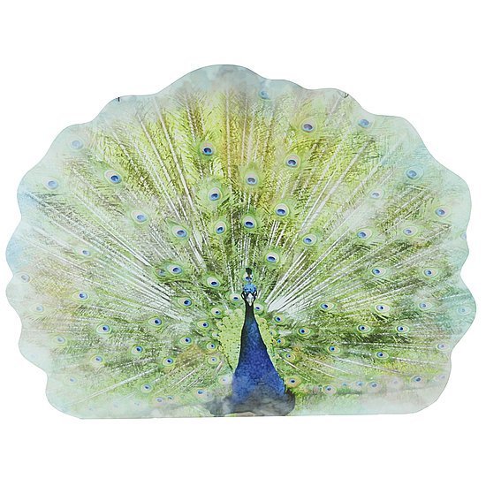 Pfau-Display 83x62x0,06cm