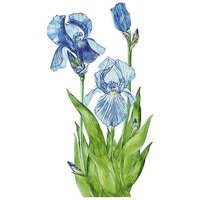Blumen-Display blau 60x110x0,08cm