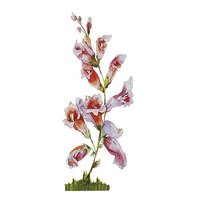 Blumen-Display pink 62x156x0,08cm
