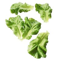 Salatblad 5 dlg 