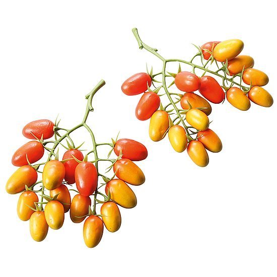 Rispen-Roma-Tomaten
