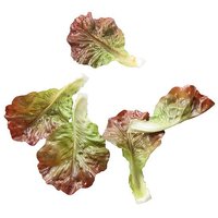 Salatblad 5dlg