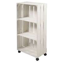 Regalkiste m.Rollen ws 100cmH