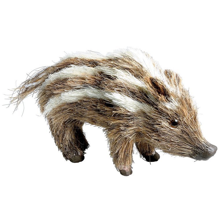 Wild Boar