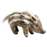Wild Boar