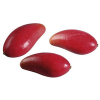 Mango rot 15cm lang/3Stk.