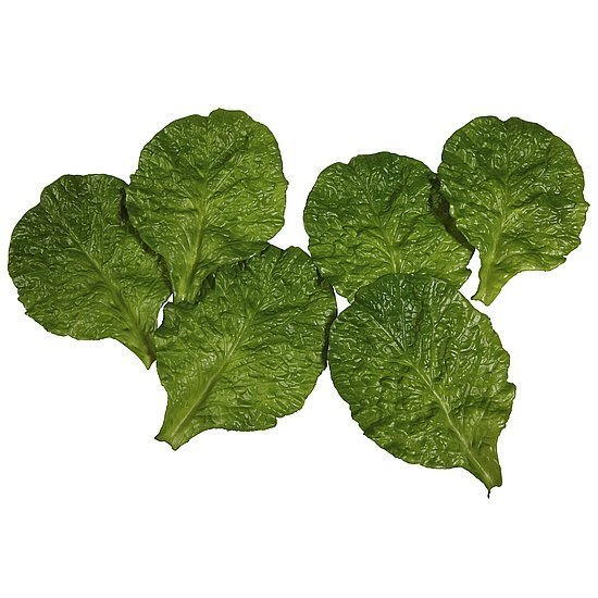 Salatbl