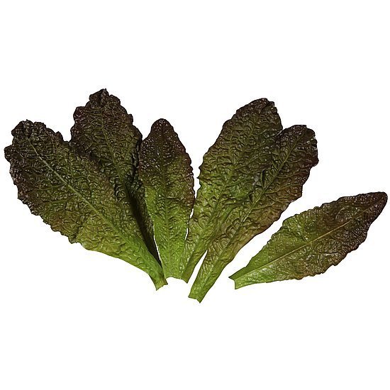 Salatbl