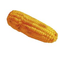 Maiskolben gegrillt 25cmL