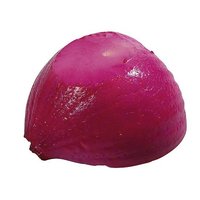 Zwiebel H