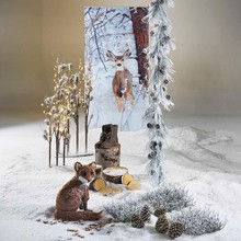 Winter 96.jpg