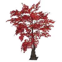 Ahornboom rood 240 cm