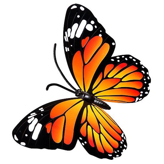 Butterflies Orange 3st Pack 40cm