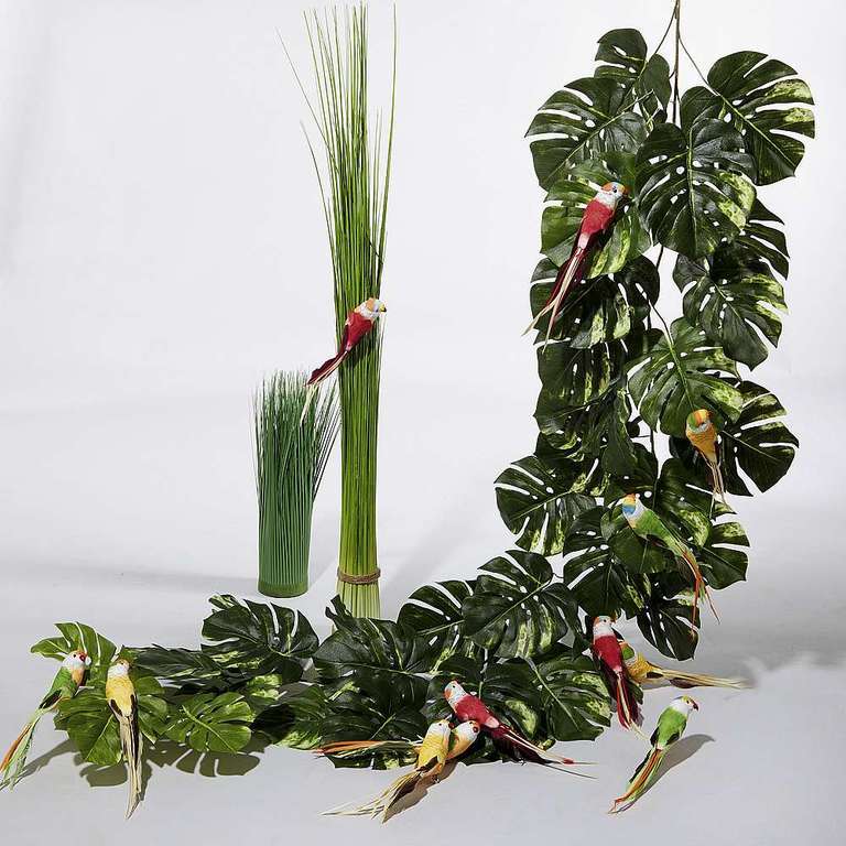 Deco set Jungle