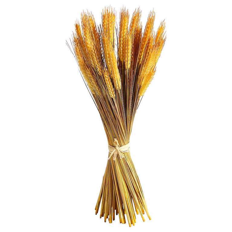 Wheat bundle 