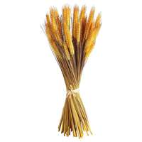 Wheat bundle 