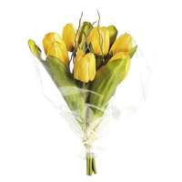 Tulpen Bouquet