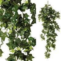 Ivy Bush
