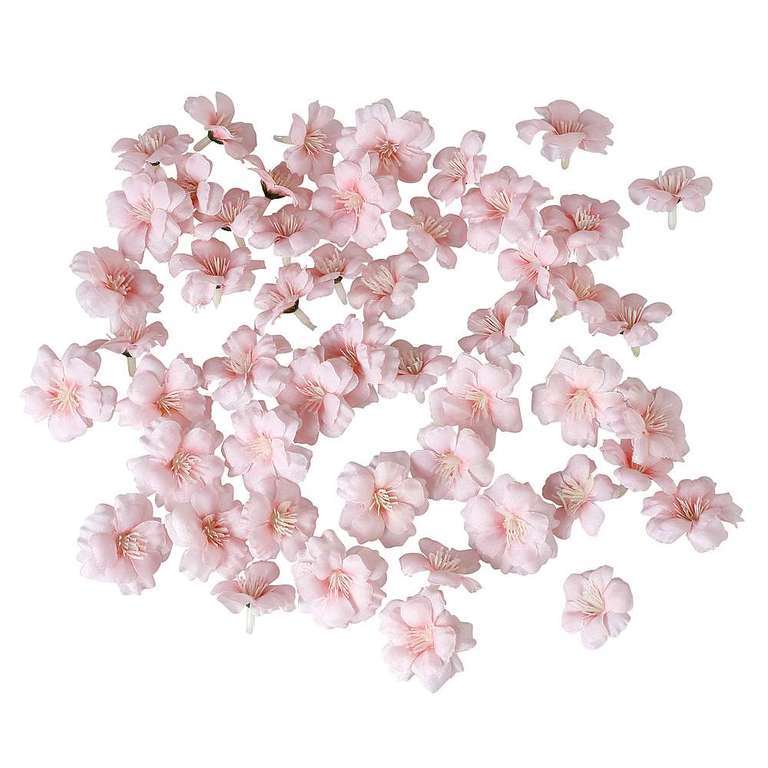 Cherryblossoms 