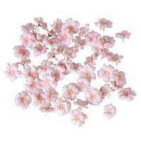 Cherryblossoms 