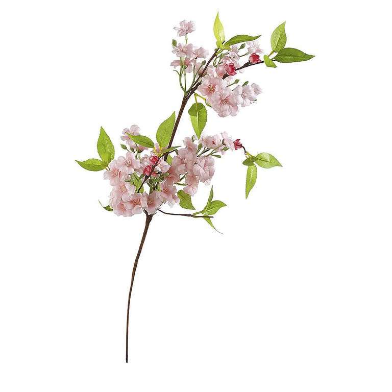 Cherry Blossom Branch