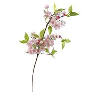 Cherry Blossom Branch