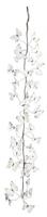 Buttefly Garland Black|White