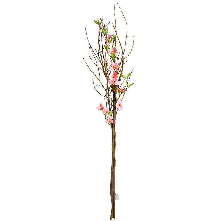 Blossem branch