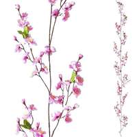 Cherry blossom tendril