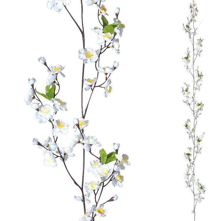 Appel blossom tendril