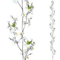 Appel blossom tendril