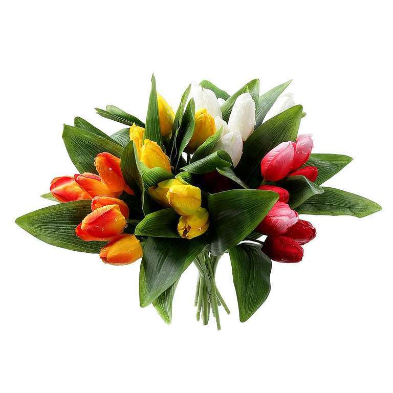 Tulpenboeket