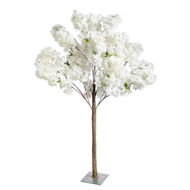 Cherry Blossom Tree