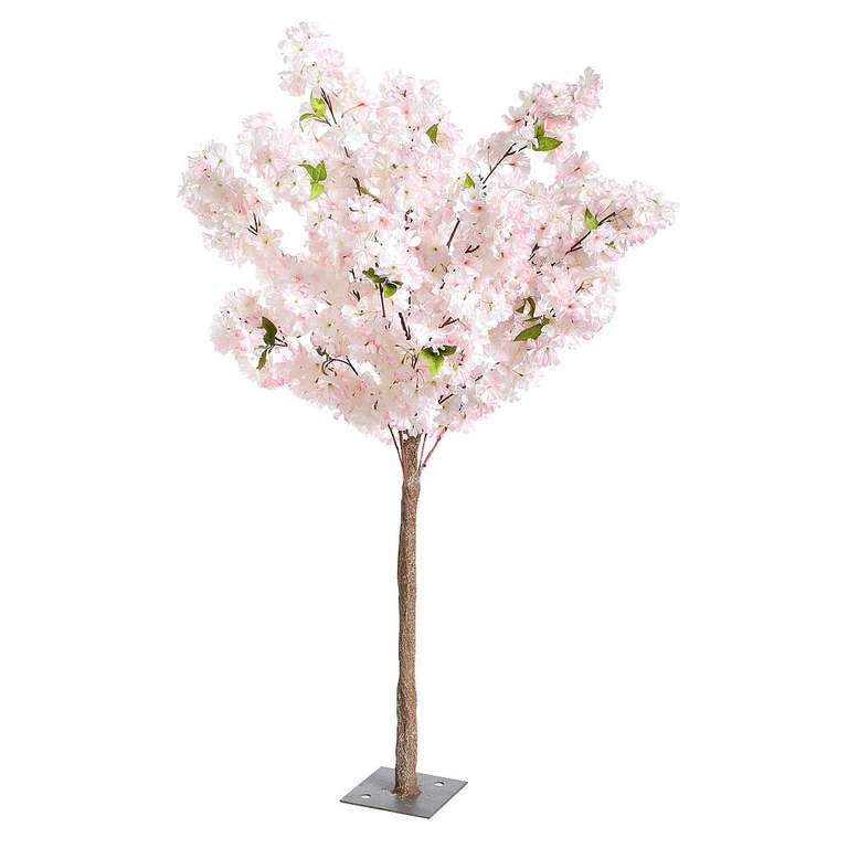 Cherry Blossom Tree